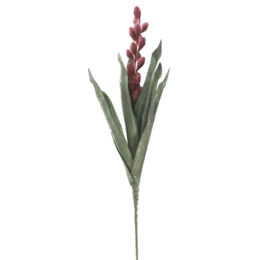 ALOE FLOWER ROSA 23X93 cm MIN 10